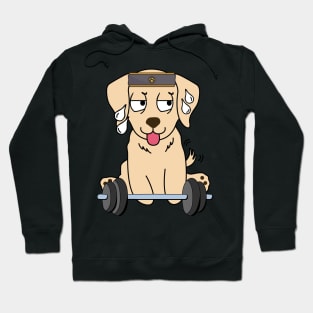 Funny retriever is exercising Hoodie